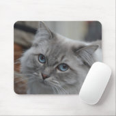 Mooie grijze kat met blauwe ogen Muismat (Met muis)