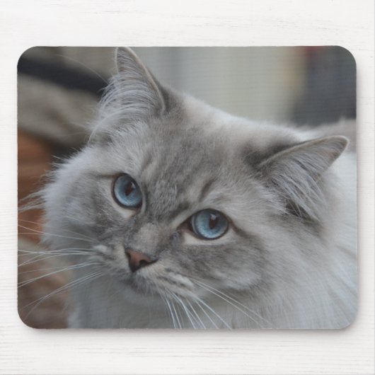 Mooie grijze kat met blauwe ogen Muismat (Voorkant)