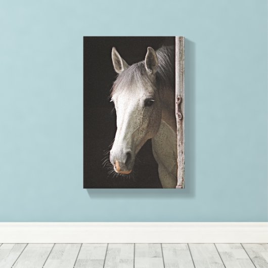 Mooie Grijze Merrie PAARDEN Canvas Afdruk (Insitu (Houten vloer))
