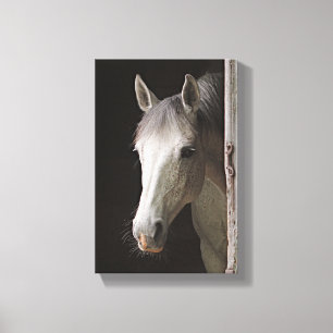 Mooie Grijze Merrie PAARDEN Canvas Afdruk
