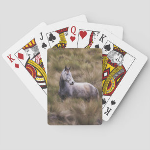 Mooie grijze paard pokerkaarten