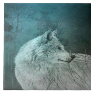 Mooie Grijze Wolf in een Donker Bos Tegeltje