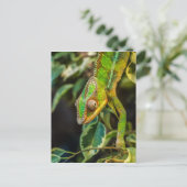 Mooie groene kameleon briefkaart (Staand voorkant)