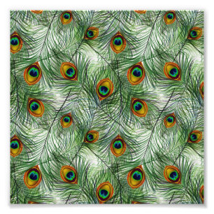 Mooie groene Peacock-doether Foto Afdruk
