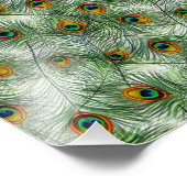 Mooie groene Peacock Feather Foto Afdruk (Hoek)