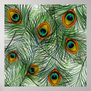 Mooie groene Peacock Feather Poster