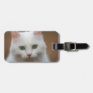 Mooie groene witte kattenportret. bagagelabel