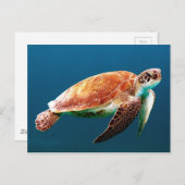 Mooie groene Zee Turtle Briefkaart (Voorkant / Achterkant)