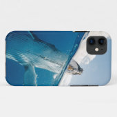 Mooie grote walvis Case-Mate iPhone case (Achterkant (horizontaal))
