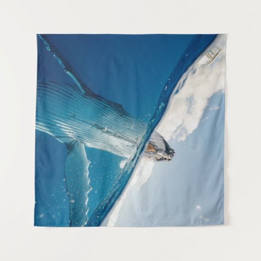 Mooie grote walvis wandkleed (Voorkant (horizontaal))