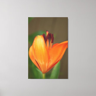Mooie halve bloeiende gouden tijgerlib canvas afdruk