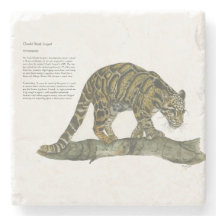 Mooie handgeschilderde bedreigde wolken luipaard