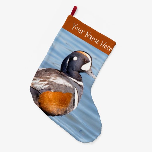 Mooie Harlequin Duck aan het strand Grote Kerstsok (Voorkant (Hangend))