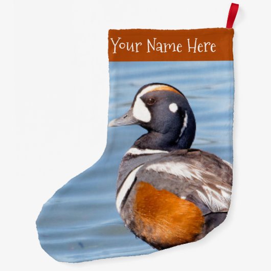 Mooie Harlequin Duck aan het strand Grote Kerstsok (Achterkant)