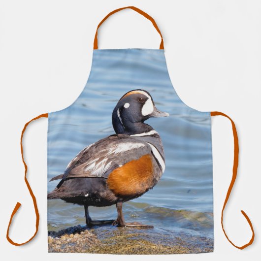 Mooie Harlequin Duck aan het strand Schort (Voorkant)