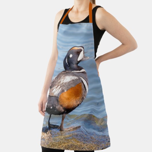 Mooie Harlequin Duck aan het strand Schort (Insitu)