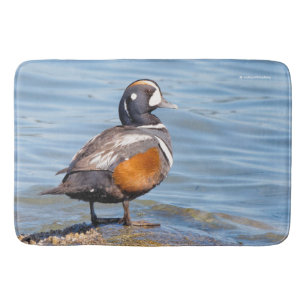 Mooie Harlequin Duck op de Rock Badmat