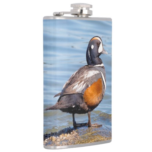 Mooie Harlequin Duck op de Rock Heupfles (Rechts)