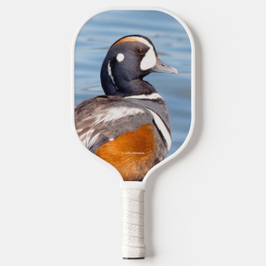 Mooie Harlequin Duck op de Rock Pickleball Paddle (Voorkant)