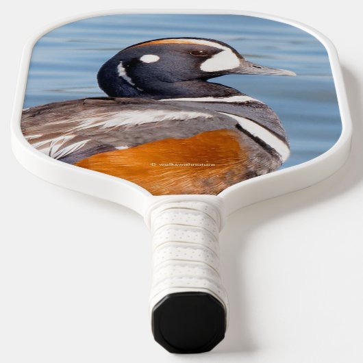 Mooie Harlequin Duck op de Rock Pickleball Paddle (Laagn)