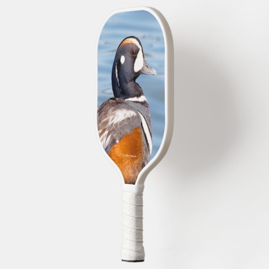 Mooie Harlequin Duck op de Rock Pickleball Paddle (Links)