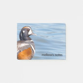 Mooie Harlequin Duck op de Rock Post-it® Notes (Voorkant)