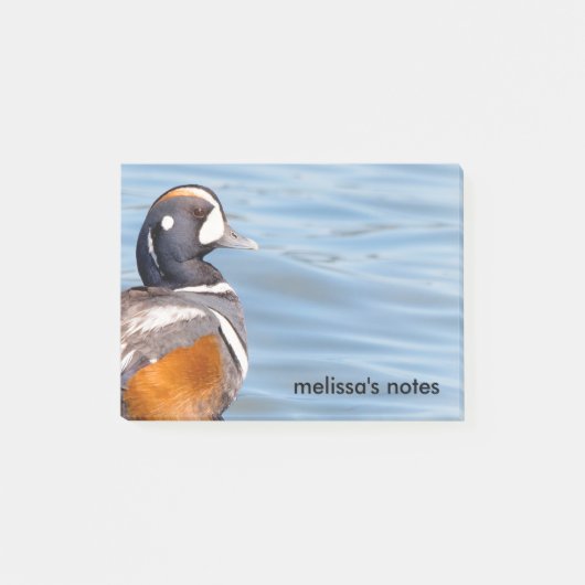 Mooie Harlequin Duck op de Rock Post-it® Notes (Voorkant)