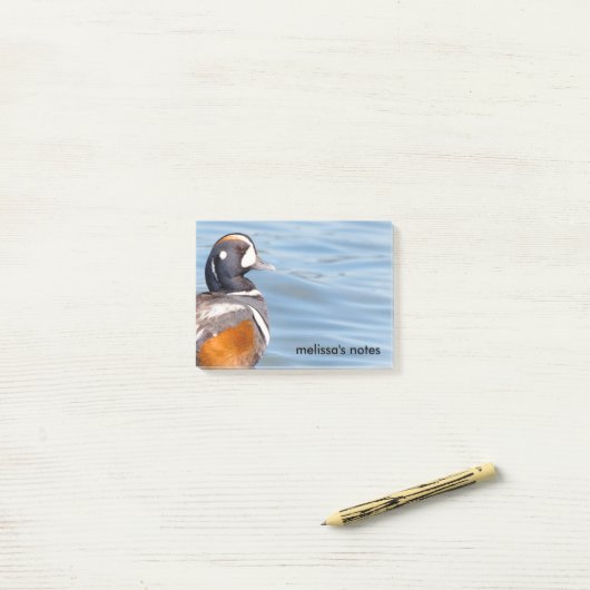 Mooie Harlequin Duck op de Rock Post-it® Notes (Op bureau)