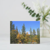 Mooie Hayfork, Californië... Briefkaart (Staand voorkant)