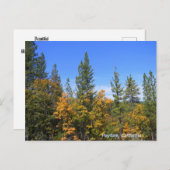 Mooie Hayfork, Californië... Briefkaart (Voorkant / Achterkant)