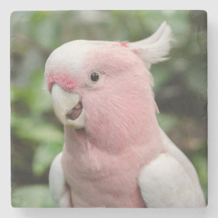 Mooie, heldere roze en witte papegaai stenen onderzetter