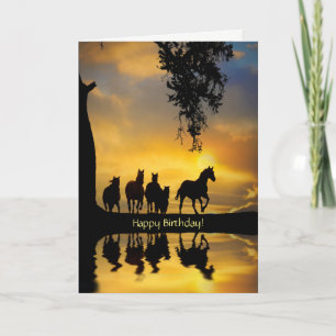 Mooie herder van paarden, Birthday over de Miles Kaart