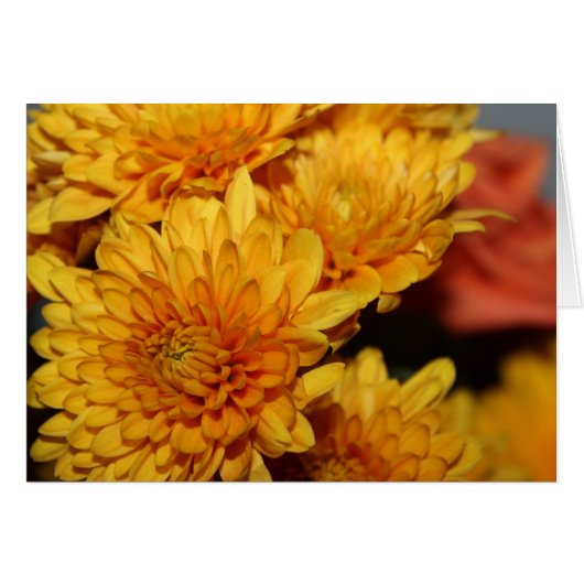 Mooie Herfst bloemen (Voorkant Horizontaal)