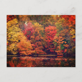 Mooie herfst bos en meer briefkaart