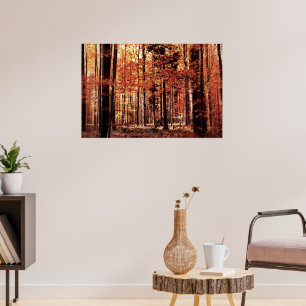 Mooie herfst bos poster