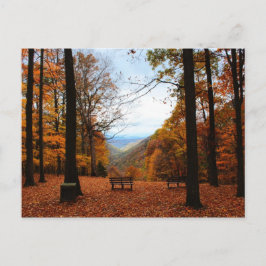 Mooie Herfst Briefkaart