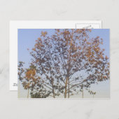 Mooie Herfst Briefkaart (Voorkant / Achterkant)