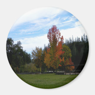 Mooie Herfst dag... Magneet