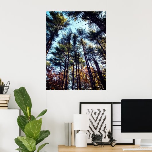 Mooie herfst pijnbomen poster (Thuiskantoor)