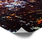 Mooie herfst pijnbomen poster (Hoek)