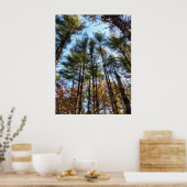 Mooie herfst pijnbomen poster (Keuken)