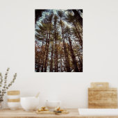 Mooie herfst pijnbomen poster (Keuken)