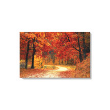 Mooie Herfst Road Canvas Print