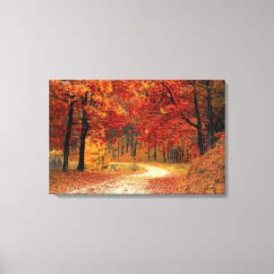 Mooie Herfst Road Canvas Print