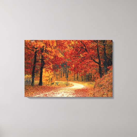 Mooie Herfst Road Canvas Print (Voorkant)