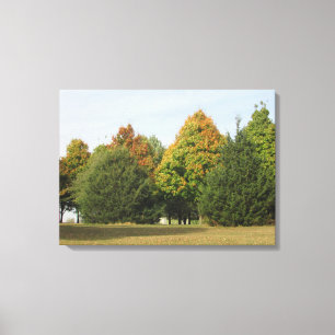 Mooie herfstbladeren fotografie van Wisconsin-kuns Canvas Afdruk