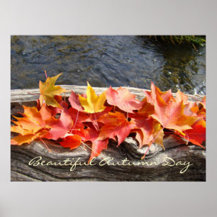 Mooie herfstdag kunstprints cadeaus Herfstbladeren Poster
