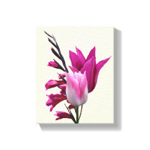 Mooie hete roze tulp moderne bloemenkunst