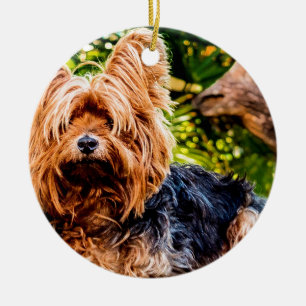 Mooie Hond Aai Yorkie Vrede Liefde Lotsbestemming  Keramisch Ornament