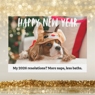 Mooie Hond Grappig Huisdier Gelukkig Nieuwjaar Fot Feestdagenkaart